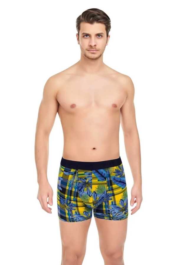 Toptan Harry Jons Yaprak Desenli Tüp Bel Erkek Boxer Kutulu