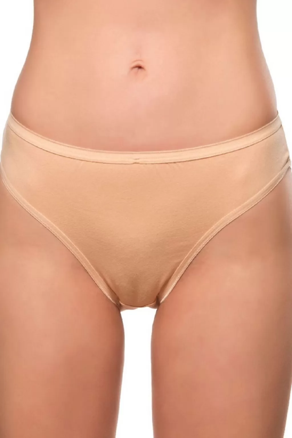 Toptan Güryıldız Bikini Külot Ten