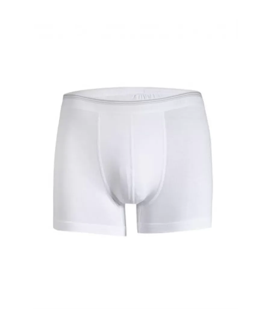 Güryıldız Penye Elastane Erkek Boxer
