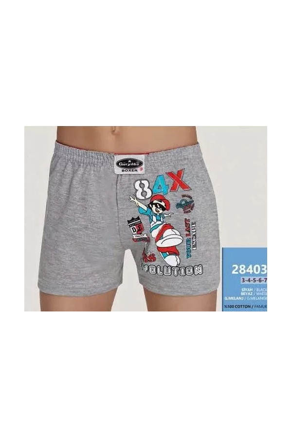 Toptan Güryıldız Taşma Bel Erkek Çocuk Boxer
