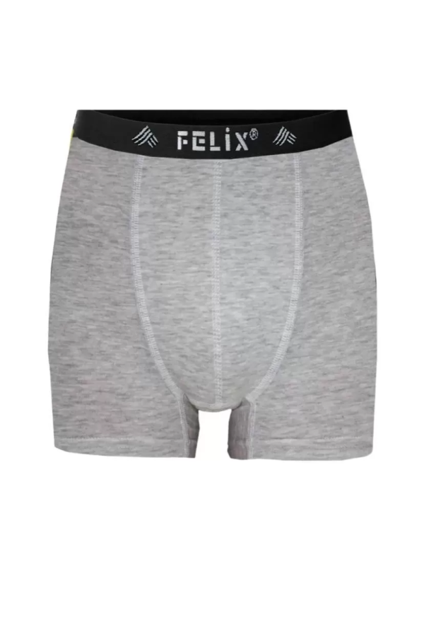 Felix Likralı Boxer