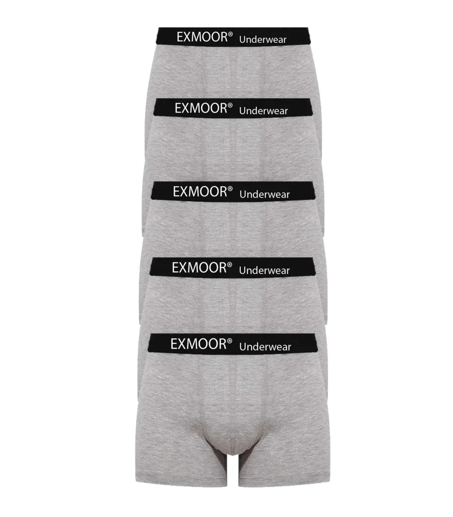 Exmoor Likralı Boxer Gri