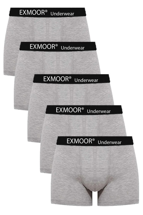 Exmoor Likralı Boxer Gri