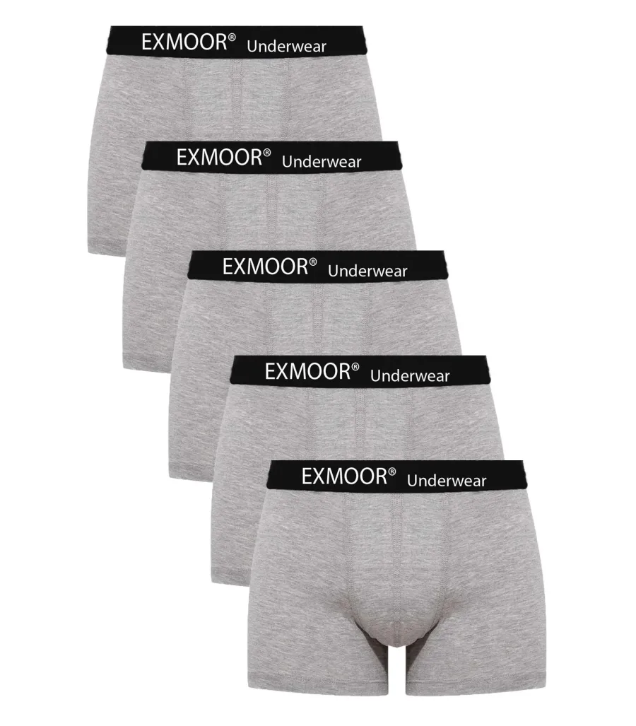 Exmoor Likralı Boxer Gri