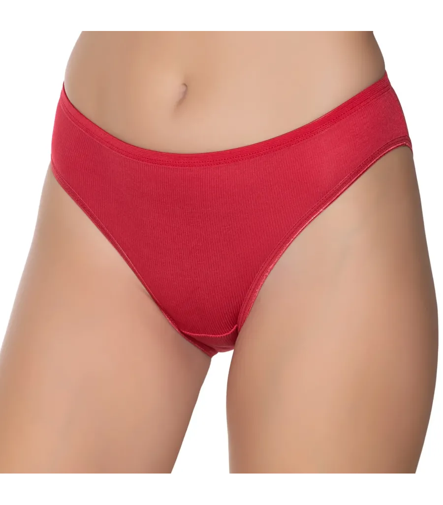 Gümüş İç Giyim 6028 Kadın Kaşkorse İnce Bel Bikini Karışık Renk
