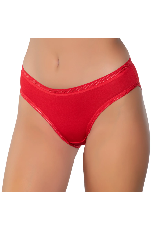 Gümüş İç Giyim 6069 Kadın Likralı Ajda Bikini