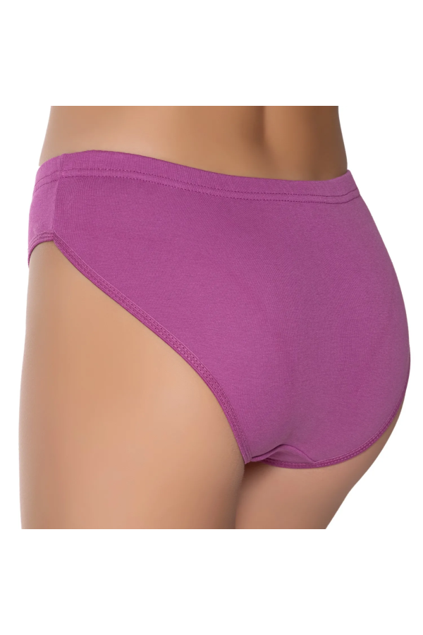 Gümüş İç Giyim 6090 Kadın Ribana Reçme Bel Bikini Orkide