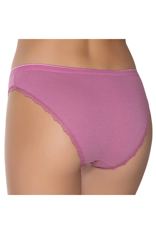 Gümüş İç Giyim 6094 Kadın Likralı İnce Bel Paçası Dantel Bikini