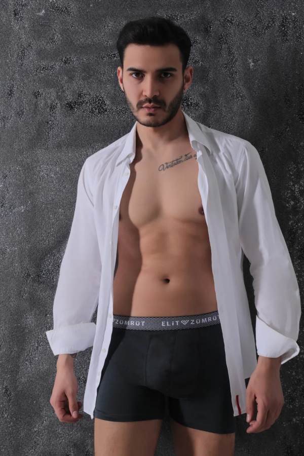Elit Zümrüt Erkek Baklava Lastikli Likralı Boxer Füme