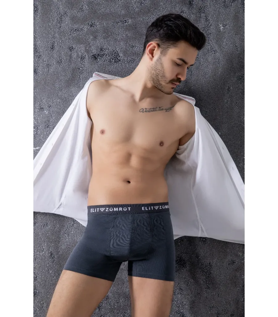Elit Zümrüt Erkek Likralı Boxer Füme