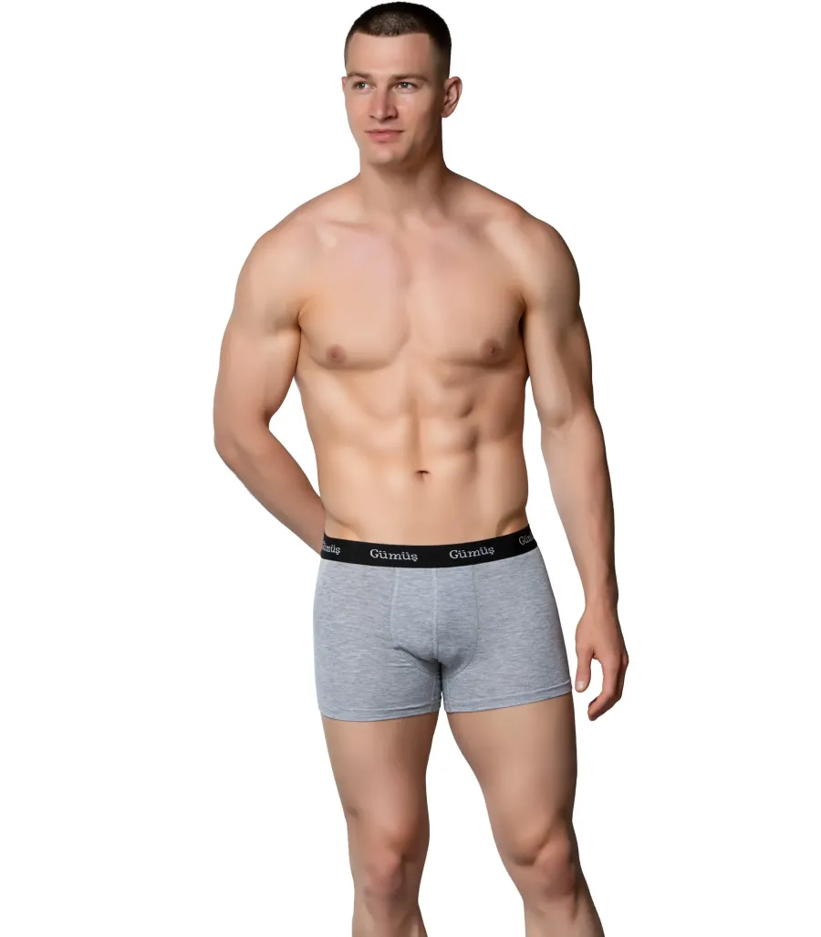 Gümüş Spor Erkek Boxer