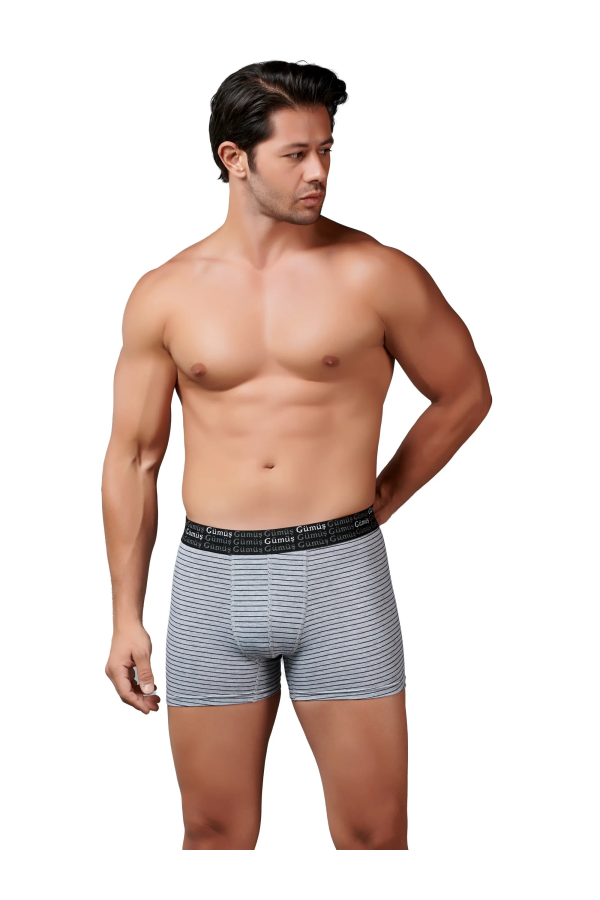 Gümüş Erkek Likralı Çizgili Boxer