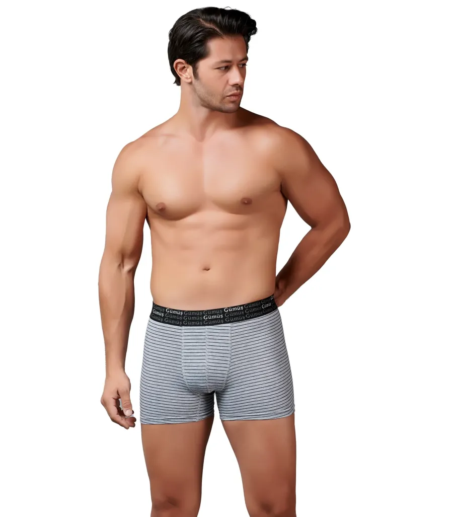 Gümüş Erkek Likralı Çizgili Boxer