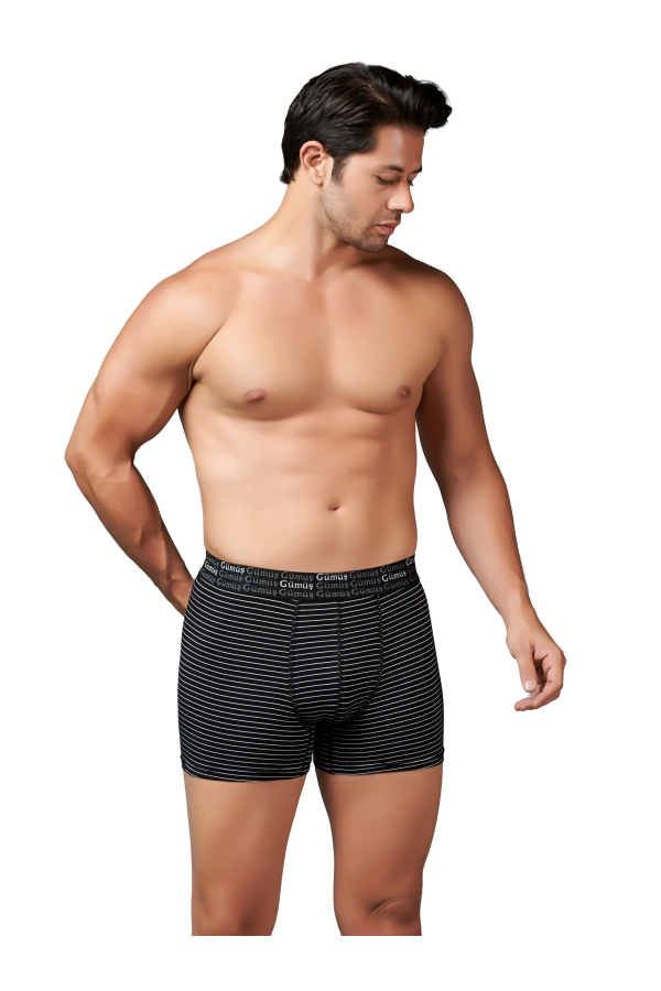 Gümüş Erkek Likralı Çizgili Boxer