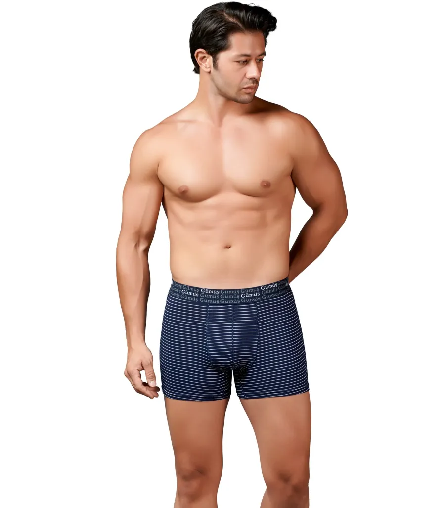 Gümüş Erkek Likralı Çizgili Boxer