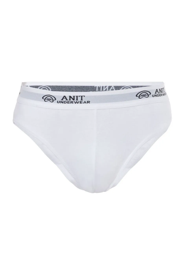 Anıt 1116 Ribana Pamuklu Erkek Slip Külot