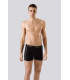 Anıt Licralı Şeritli Erkek Boxer 1120