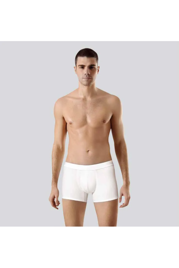 Anıt 1250 Erkek Modal Düz Renk Boxer