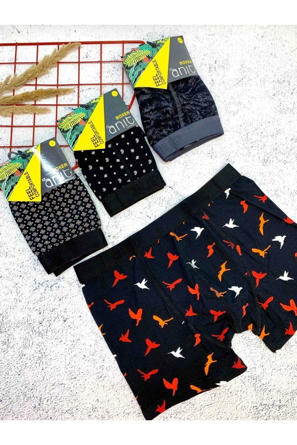 Anıt 1267 Erkek Desenli Boxer