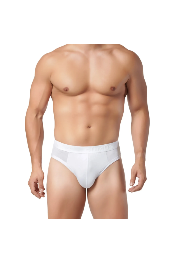 Gümüş 7008 Erkek Modal Kemerli Slip Külot