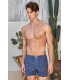 Berrak Erkek Poplin Boxer Short