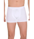 Berrak Erkek Boxer Short Berrak 4476
