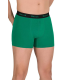 Berrak Erkek Boxer Short Berrak 4476