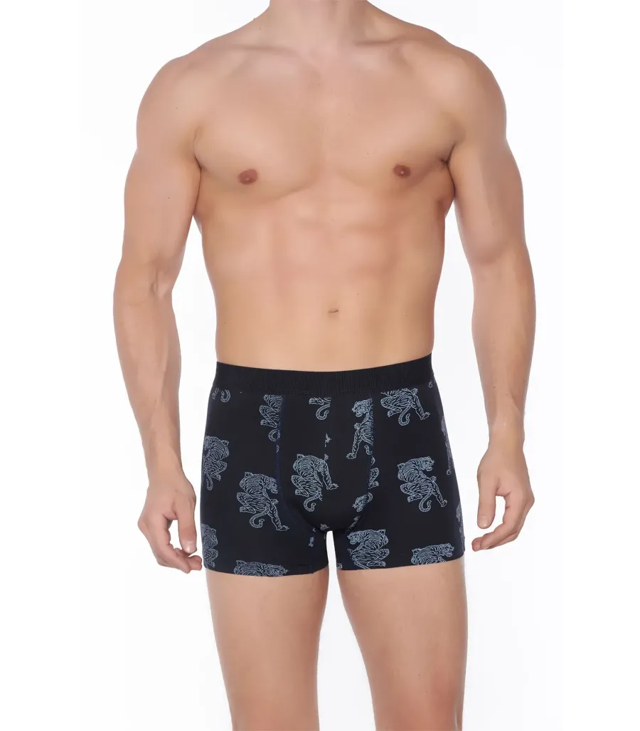 Berrak Erkek Lycralı Desenli Boxer Short