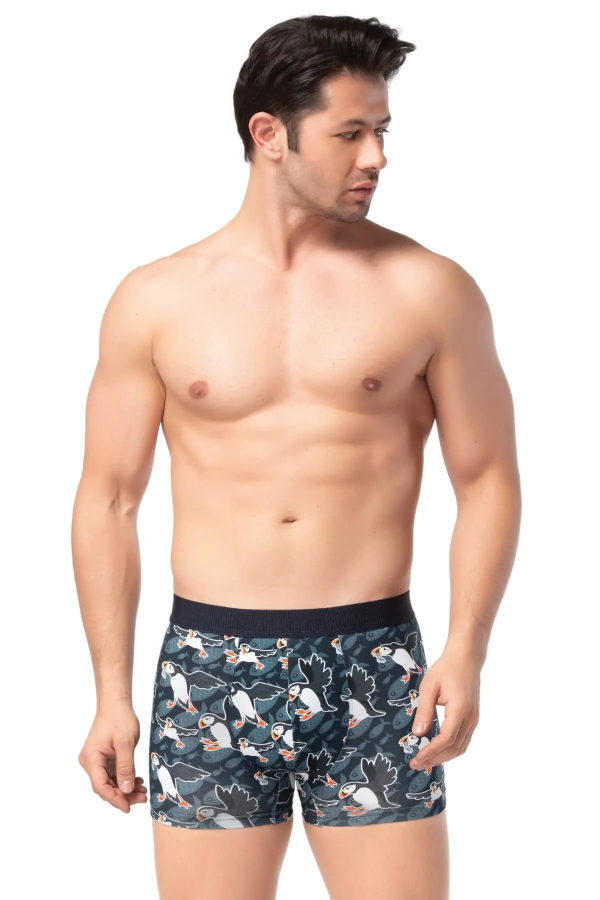 Berrak Erkek Dijital Baskı Boxer Short