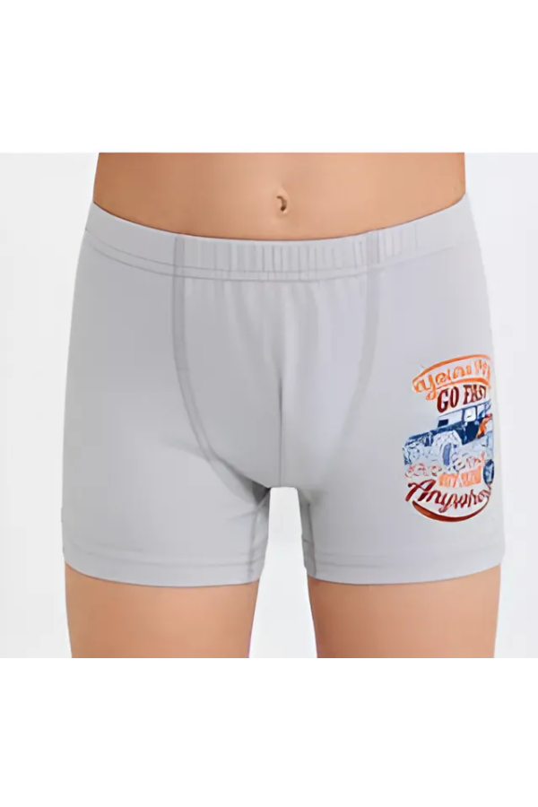 Berrak Erkek Çocuk Boxer Şort 3\' Lü Berrak 5073