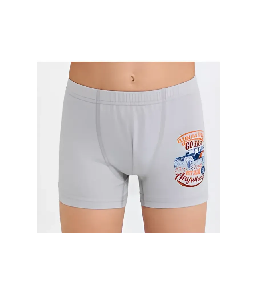 Berrak Erkek Çocuk Boxer Şort 3\' Lü Berrak 5073