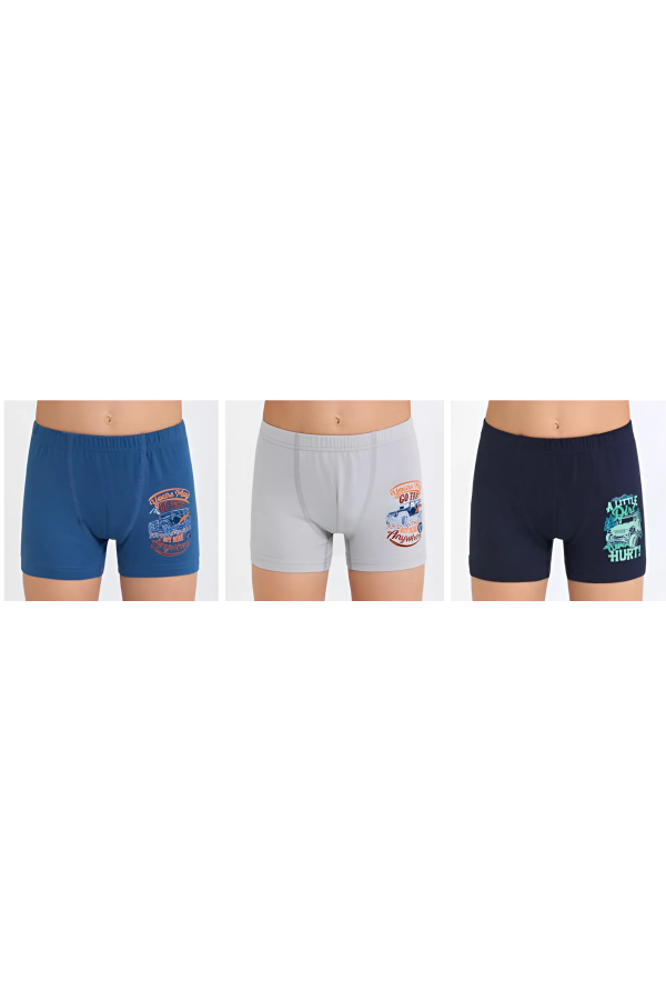 Berrak Erkek Çocuk Boxer Şort 3\' Lü Berrak 5073
