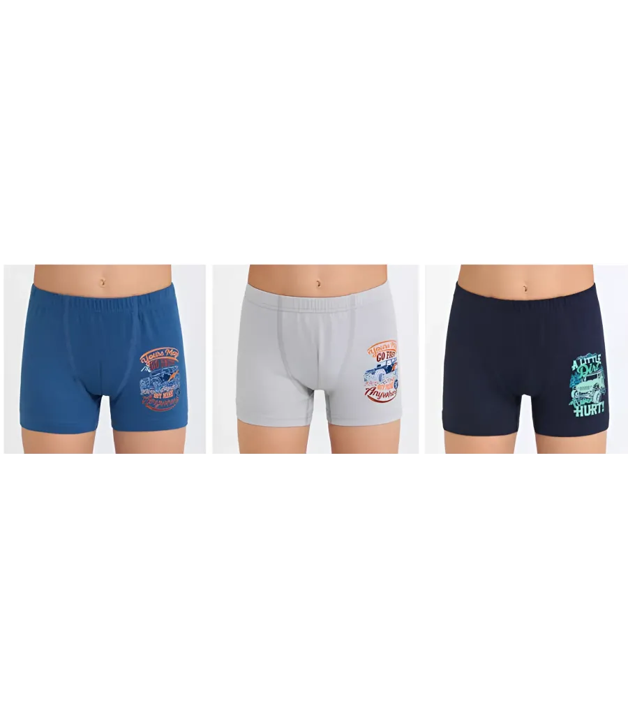 Berrak Erkek Çocuk Boxer Şort 3\' Lü Berrak 5073