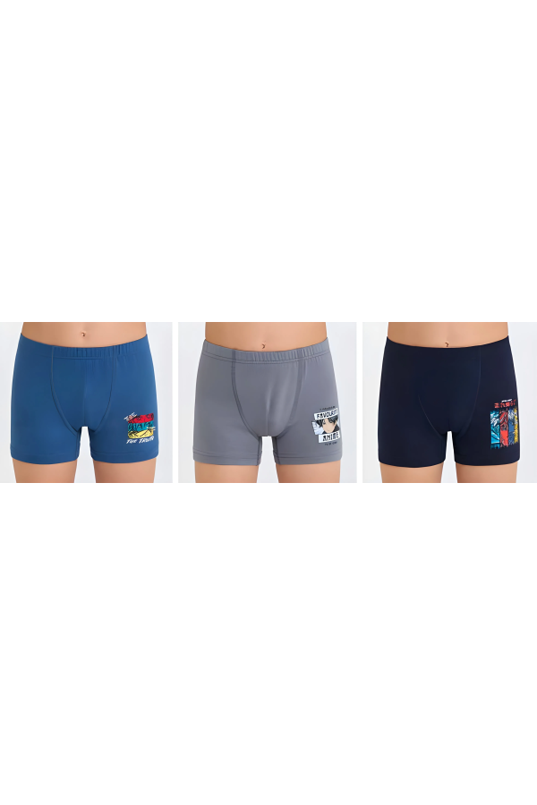 Berrak Erkek Çocuk Boxer Şort 3' Lü Berrak 5083