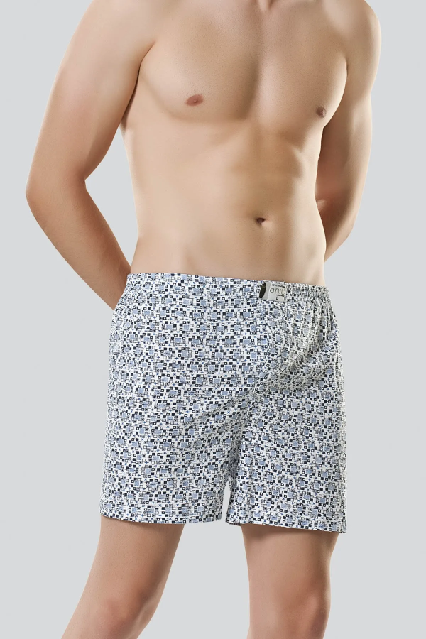 Anıt Poplin Boxer