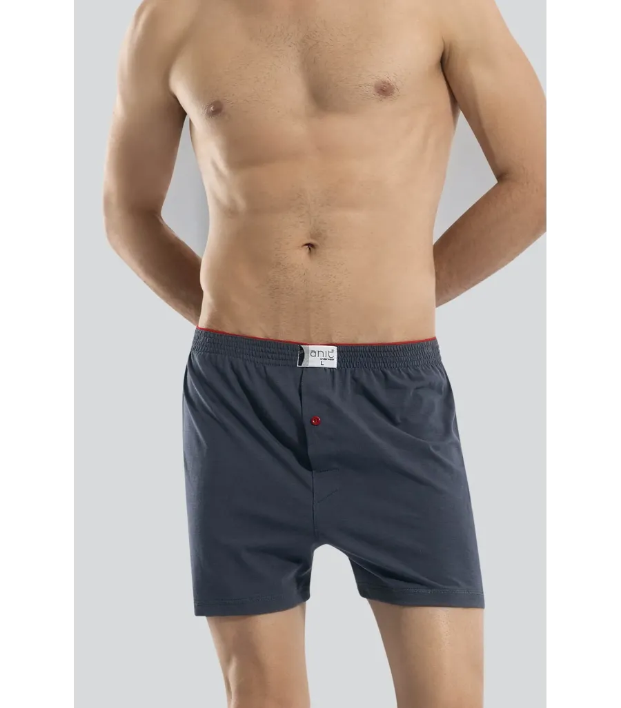 Anıt Erkek Boxer