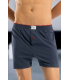 Anıt Erkek Boxer