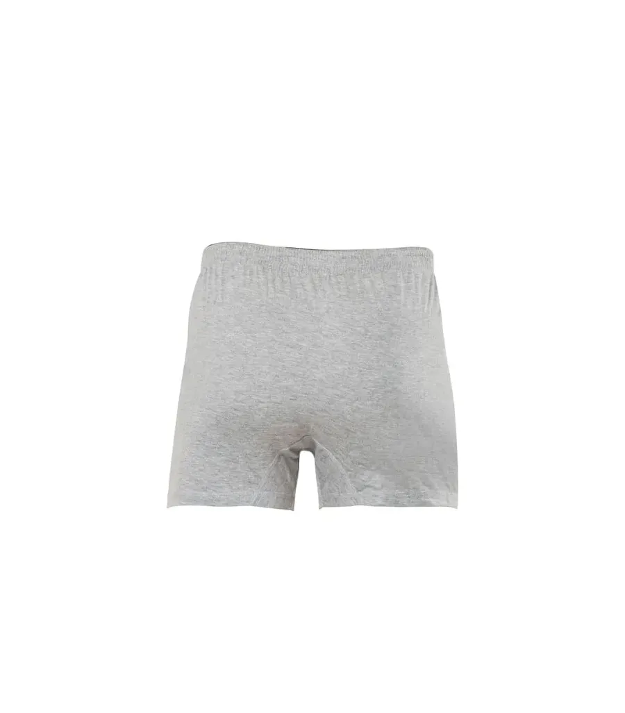 Anıt Erkek Boxer