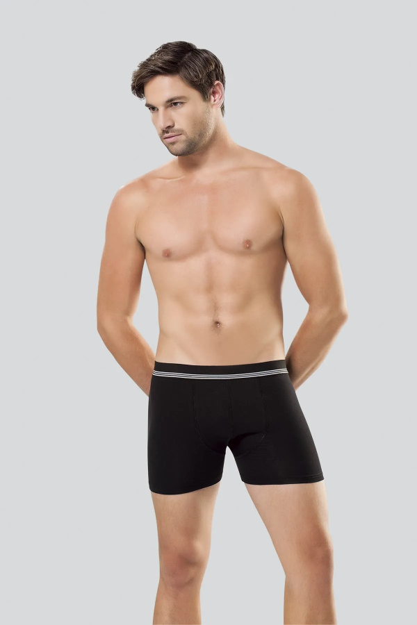Anıt Çizgili Licralı Erkek Boxer