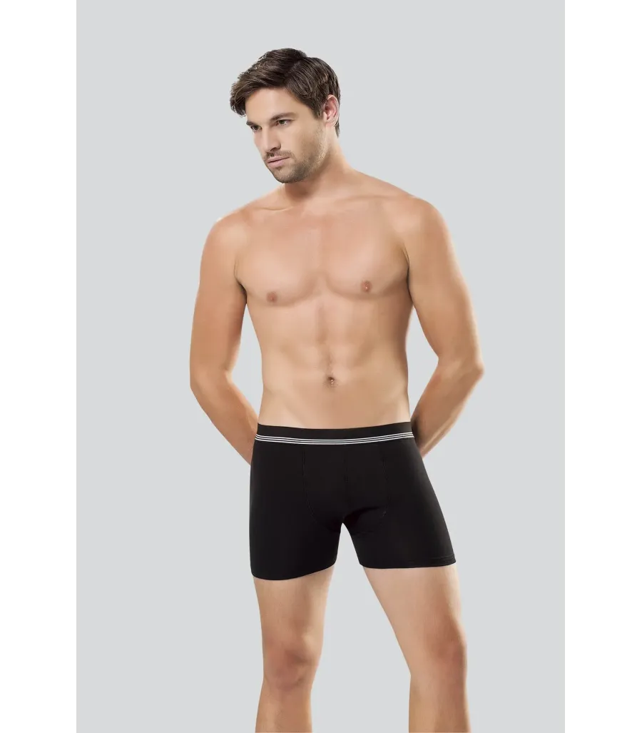 Anıt Çizgili Licralı Erkek Boxer