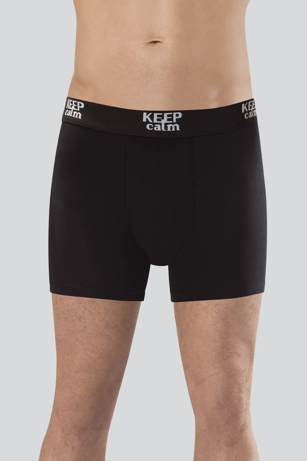 Anıt Modal Boxer