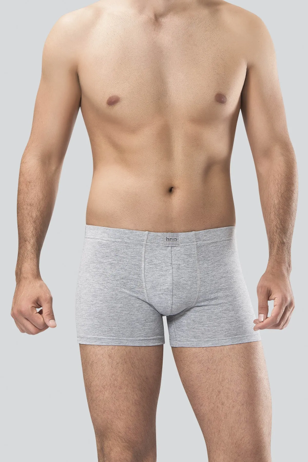 Anıt Boxer