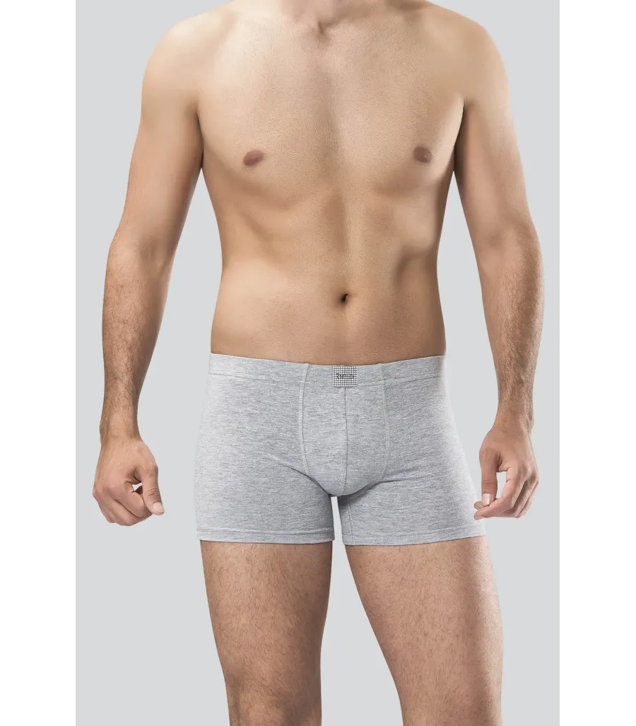 Anıt Boxer