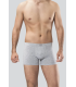 Anıt Boxer