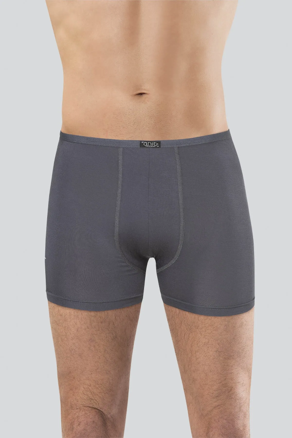 Anıt Bambu Boxer