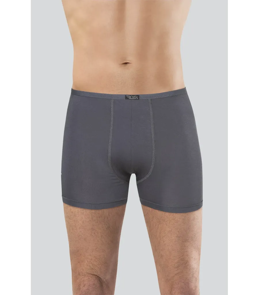 Anıt Bambu Boxer