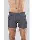 Anıt Bambu Boxer