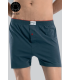 Anıt Battal Erkek Boxer