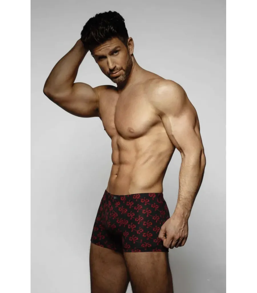 Anıt Baskılı Modal Boxer