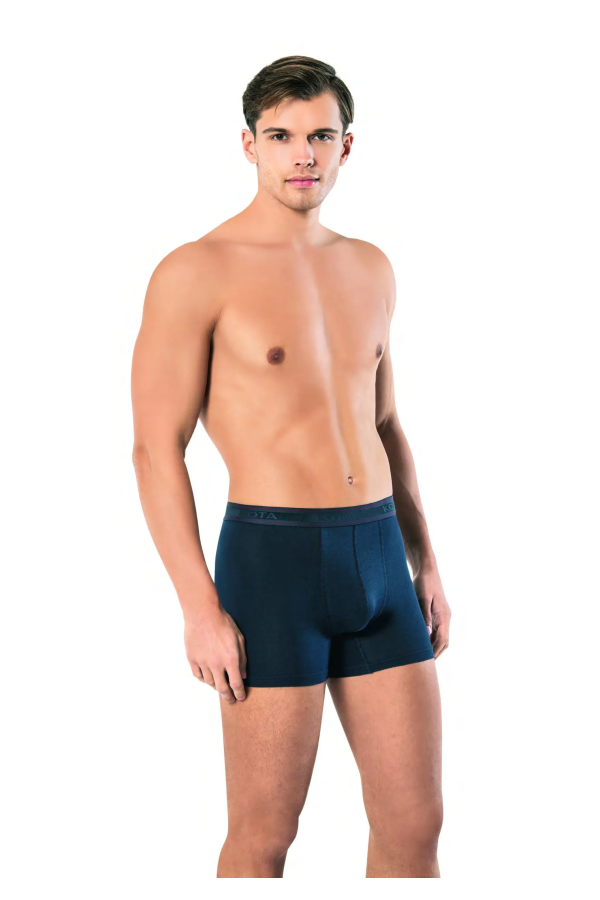 Kota 1010 Modal Erkek Boxer